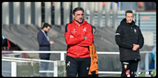 LR Vicenza. La sconfitta con il Novara apre la crisi. Poggi: i problemi risalgono alle scelte iniziali L'allenatore Francesco Modesto (foto dal sito Lr Vicenza)