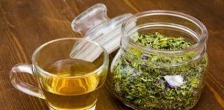 Brindisi prenatalizi. Nutrizionista: “Finocchi e tisane prima per ridurre i danni’