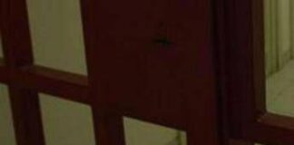 Carceri, tragedia a Porto Azzurro: agente si toglie la vita