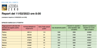 Covid Veneto 11 febbraio: 472 casi, 2 morti. A Vicenza 101 nuovi casi e 0 decessi. La tabella delle province Dati casi Covid per provincia in Veneto all'11 febbraio ore 8