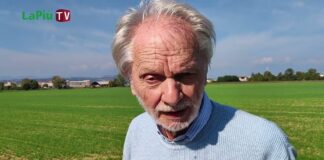 Mappatura Pfas di Vicenza, la richiesta del consigliere dem Rolando mappatura pfas vicenza Ipab acqua a Vicenza centri diurni