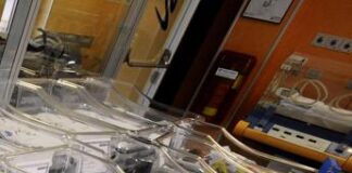 Medicina, Massimo Agosti nuovo presidente neonatologi Sin