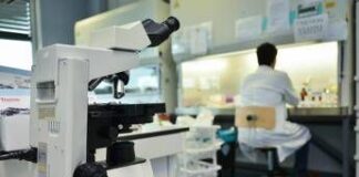 Morbo di Parkinson, 4 segnali prima del tremore: la ricerca