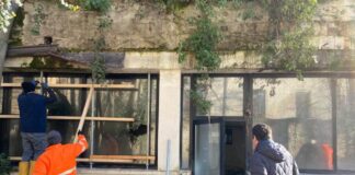 Degrado Vicenza, Rigeneriamo: “Politica degli sgomberi serve solo a spostare il problema” Via Torino a Vicenza, sgombero immobile abbandonato degrado