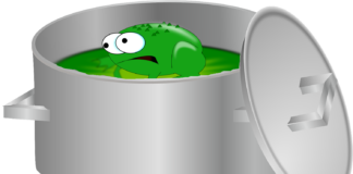 Chomsky e la morte della verità: l’esperimento della rana bollita Rana bollita, credits maestr'ale