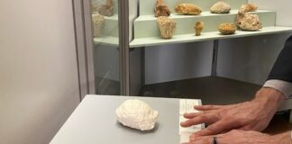 Giornata nazionale dell’alfabeto braille, percorsi tattili nei Musei civici di Vicenza