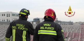 Ferito operaio 53enne caduto all’interno di azienda meccanica vicentina: vigili del fuoco intervenuti in Via della Meccanica Vigili del fuoco intervenuti in Via della Meccanica a Vicenza