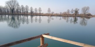 Risorgive, laghetti e specchi d’acqua a Vicenza e provincia. Dove trovarli?