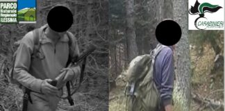 Operazione antibracconaggio nel Parco della Lessinia: denunciato un cacciatore vicentino operazione antibracconaggio