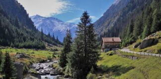 Crisi occupazionale nel comparto turistico, Meritocrazia Italia: “Un problema in cerca di sinergie” Comparto turistico
