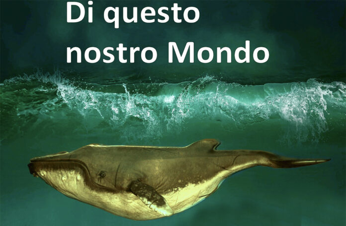 Giornata Nazionale della Cura Giornata Nazionale della Cura