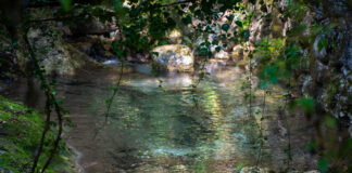 Viacqua avvia uno studio per salvaguardare pozzi e sorgenti che alimentano gli acquedotti Viacqua