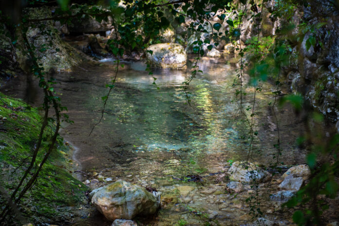Viacqua Viacqua