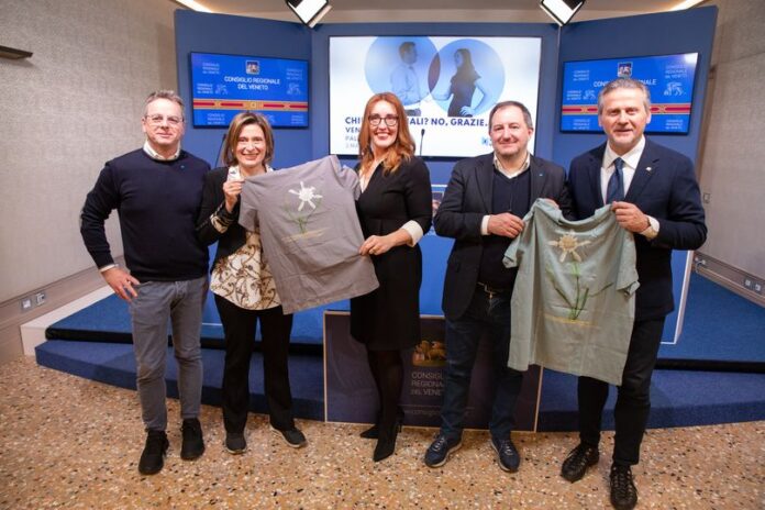 Desertificazione degli sportelli bancari a Palazzo Ferro Fini Desertificazione degli sportelli bancari