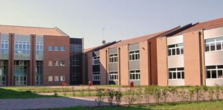 Gruppo di docenti del “Ferrari” di Este (PD) solidale con dirigente Savino Docenti Ferrari su Dirigente Savino