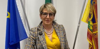 Nessun allarme “influenza suina”, Ulss 8 Berica e Direzione regionale Prevenzione: rimane fondamentale prevenzione con la vaccinazione Giuseppina Bonavina, DG Ulss 8 Berica piani di zona Bonavina