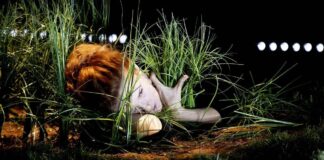 Teatro Comunale di Vicenza: dal Mago di Oz a Pirandello