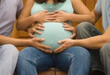 Maternità surrogata. Affitto sì, ma solo per certi organi: la vagina sì, l’utero no Maternità surrogata