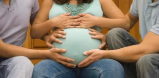 Maternità surrogata. Affitto sì, ma solo per certi organi: la vagina sì, l’utero no Maternità surrogata