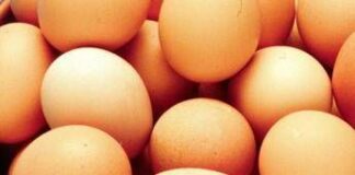 Sos uova in Usa per aviaria, l’esperto: “Esistono alternative per compensare”