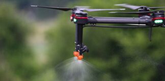 Droni per scacciare i piccioni, al via la sperimentazione nel centro storico e nei quartieri di Vicenza droni per scacciare i piccioni vicenza