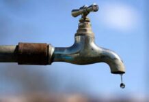 Emergenza idrica anche in Veneto, Monica Pellegrin (Meritocrazia Italia Veneto): “Basta sprechi, la responsabilità del singolo aiuta tutti” Emergenza idrica