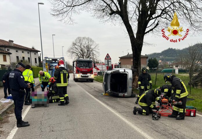 Auto contro albero