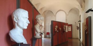 Domenica con ingresso gratuito a Palazzo Thiene e al Museo Naturalistico Archeologico di Vicenza domenica
