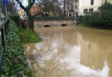 Rimborsi alluvioni 2024: Luisetto e Filippin (PD) denunciano l’oblio del Governo verso i cittadini colpiti a febbraio Alluvioni