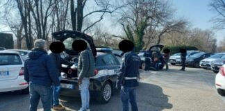 Polizia locale Vicenza, interventi contro i parcheggiatori abusivi e antidroga polizia locale