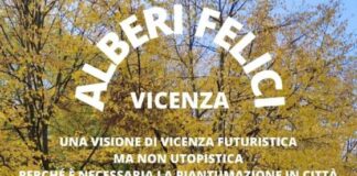 Ambiente a Vicenza, un incontro pubblico dedicato agli alberi in città ambiente a vicenza