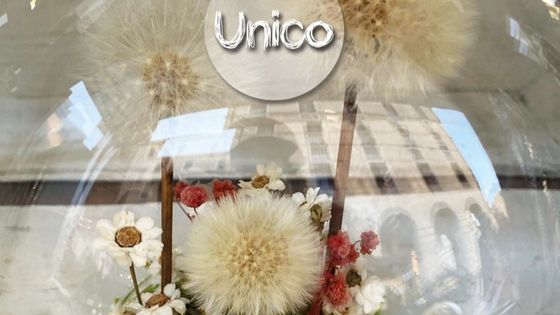 Unico