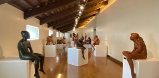 Luoghi della cultura gratis a Vicenza, domenica open per Palazzo Thiene e Museo Naturalistico Archeologico Luoghi della cultura