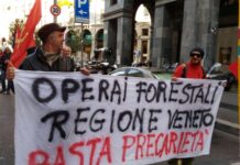 Sentenza operai forestali Veneto, la Regione precisa la sua posizione e valuta il ricorso operai forestali sentenza
