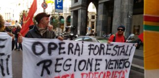Sentenza operai forestali Veneto, la Regione precisa la sua posizione e valuta il ricorso operai forestali sentenza