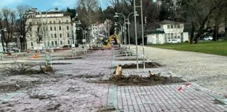 Verde pubblico di Vicenza, a che punto siamo? Interrogazione a Possamai dei consiglieri Siotto e Notarangelo Cristiano Spiller sulle alberature e il verde pubblico a Vicenza