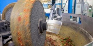 In olio veritas: L’or des Pouilles. Le Lycée “Da Vinci” Bisceglie, frantoio Galantino et Ciccolella Olio, l'oro di Puglia