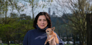 Campagna elettorale nelle scuole a Vicenza, Stefania Cerasoli (CCSV): “Inaccettabile” campagna elettorale Stefania cerasoli Voto a domicilio