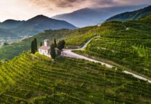 Città veneta della cultura 2024: al via il bando per il nuovo titolo Città Veneta della Cultura