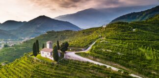 Città veneta della cultura 2024: al via il bando per il nuovo titolo Città Veneta della Cultura