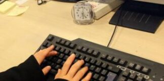 Torna a crescere popolo delle partite Iva, ma in calo artigiani e agricoltori