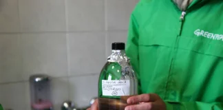 Pfas in Italia e in Veneto, Greenpeace: “Emergenza ambientale e sanitaria fuori controllo”. Le reazioni pfas