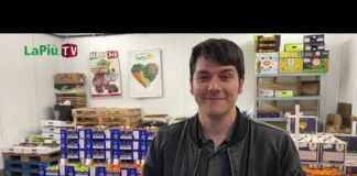 “Basta sprechi”, il libro sul recupero alimentare a Vicenza di Luca Zanon: imprenditore ortofrutticolo, A.U. Veloce srl e candidato con Rucco "Basta sprechi", il libro sul recupero alimentare a Vicenza di Luca Zanon: i