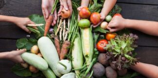 Cities2030, a Vicenza due appuntamenti per riflettere su food policy e cambiamenti climatici Cities2030