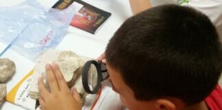 Campus didattici estivi nei musei di Vicenza dal 19 giugno al 28 luglio Campus didattici estivi