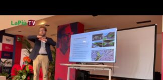 TAV/TAC, Possamai: “Servono migliorie su cantieri, impatti, supporto ai cittadini, soluzioni e mobilità” TAV/TAC, Possamai: “Servono migliorie su molti aspetti"