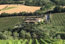 Montepulciano e Cerasuolo d’Abruzzo al Wine Lab con “Wine Specialists Journal” Azienda Francesco Massetti, Abruzzo