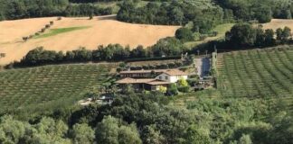 Montepulciano e Cerasuolo d’Abruzzo al Wine Lab con “Wine Specialists Journal” Azienda Francesco Massetti, Abruzzo