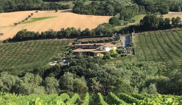 Azienda Francesco Massetti, Abruzzo