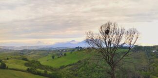 Enotour presso Cantina Roberto Capecci nelle Marche al “Wine Specialists Journal” Colline da Roberto Capecci